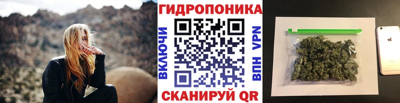наркота Александровск блэк спрут сайт Конопля VHQ